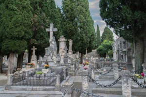 vesely cintorin (1 of 1)