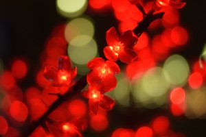 flowers_of_light